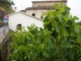 Corvara PE  (€ 35.000) - COD GDB001